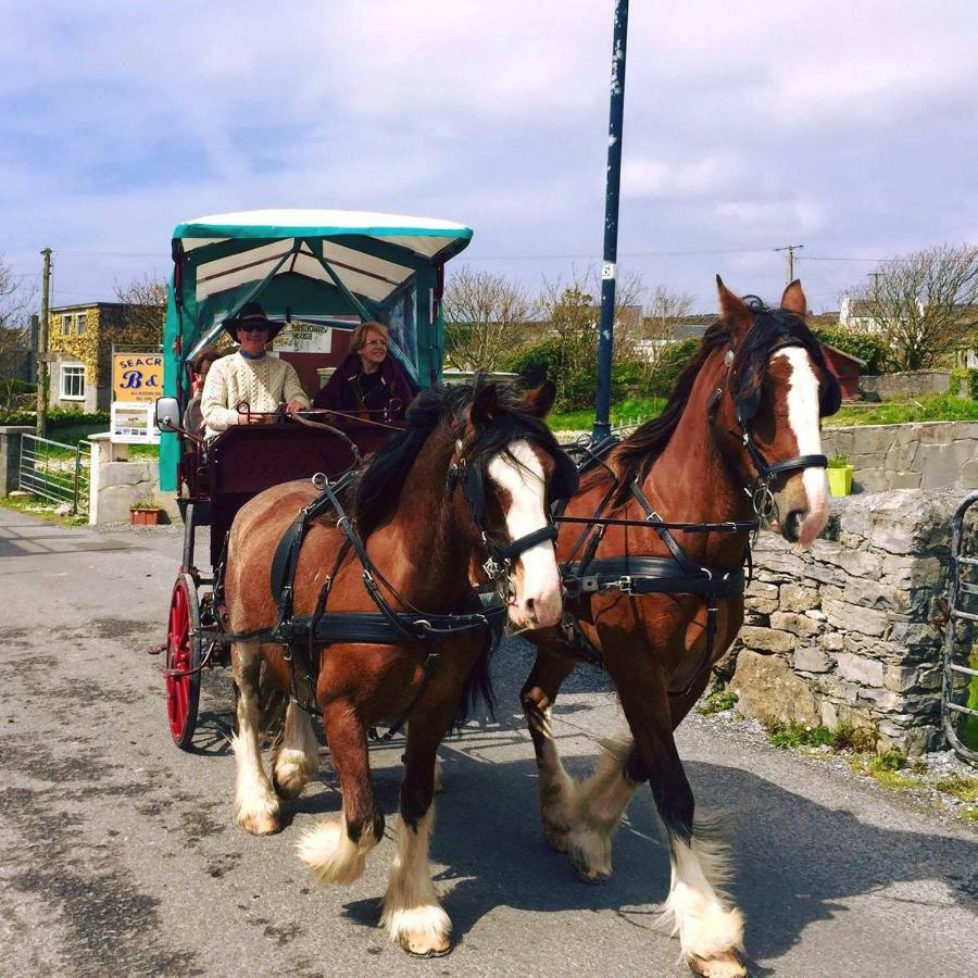 Seacrest B&B Kilronan  Bagian luar foto